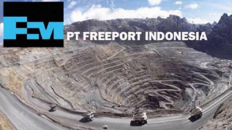 Kontrak Freeport Diperpanjang, Pemerintah Minta Tambah Saham 