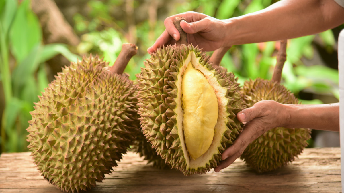 "Durian RI Bersinar di Pasar Ekspor: Permintaan Melonjak 400% Didukung oleh China"
